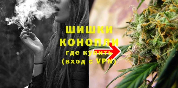 прущие грибы Красноперекопск